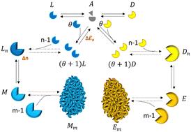 Graphical abstract: Variations in activation energy and nuclei size during nucleation explain chiral symmetry breaking