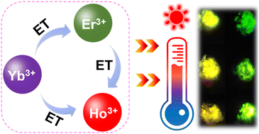 Graphical abstract: Manipulating the thermometric behaviors of Er3+/Yb3+/Ho3+-tridoped La2Mo3O12 polychromatic upconverting microparticles via adjusting spatial mode and a sensing strategy