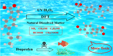 Graphical abstract: New insights into the degradation mechanism of ibuprofen in the UV/H2O2 process: role of natural dissolved matter in hydrogen transfer reactions