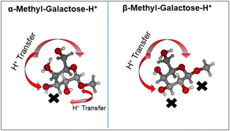 Graphical abstract: Selective reactivity of glycosyl cation stereoisomers: the role of intramolecular hydrogen bonding