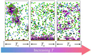 Graphical abstract: Effects of temperature on microstructures of MSA-type electroplating solution: a coarse-grained molecular dynamics simulation