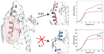 Graphical abstract: Simulation of the ligand-leaving process of the human heat shock protein