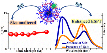 Graphical abstract: Effect of salt addition on a triblock copolymer-zwitterionic surfactant assembly: insight from excited-state proton transfer