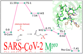 Graphical abstract: Computational study on the mechanisms of inhibition of SARS-CoV-2 Mpro by aldehyde warheads based on DFT