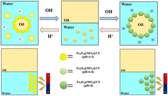 Graphical abstract: pH/magnetic dual responsive Pickering emulsion stabilized by Fe3O4@SiO2@chitosan nanoparticles