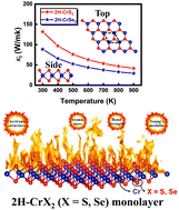 Graphical abstract: Enhancing phonon thermal transport in 2H-CrX2 (X = S and Se) monolayers through robust bonding interactions