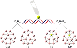 Graphical abstract: Isovalent electronic systems B+13 and BeB12: structural interchange of GM and TS