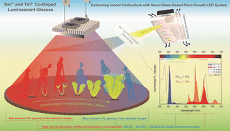 Graphical abstract: Glass-based LED system for indoor horticulture: enhanced plant growth through Sm3+ and Tm3+ co-doped luminescent glasses