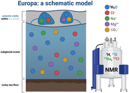 Graphical abstract: Water dynamics in eutectic solutions of sodium chloride and magnesium sulfate: implications for life in Europa's subsurface ocean and ice shell