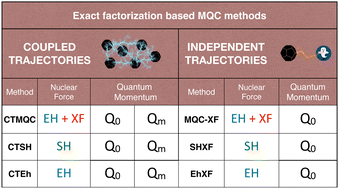 Graphical abstract: Different flavors of exact-factorization-based mixed quantum-classical methods for multistate dynamics