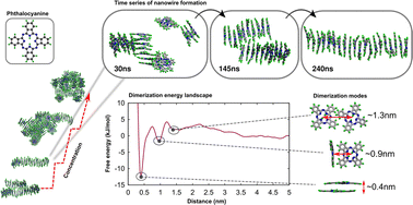 Graphical abstract: Molecular mechanisms underlying nanowire formation in pristine phthalocyanine