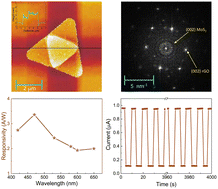 Graphical abstract: Photogating induced high sensitivity and speed from heterostructure of few-layer MoS2 and reduced graphene oxide-based photodetector