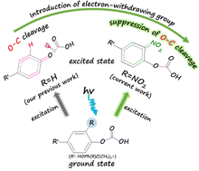 Graphical abstract: Theoretical design of durable and strong polycarbonates against photodegradation