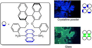 Graphical abstract: Probing local structure of glass with orientation-dependent luminescence