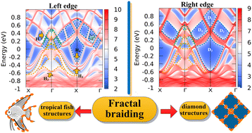 Graphical abstract: Evolution of local edge state braiding and spin topological transport characterization of Te-doped monolayer 1T′-MoS2