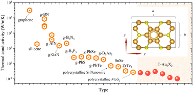 Graphical abstract: The intrinsically low lattice thermal conductivity of monolayer T-Au6X2 (X = S, Se and Te)