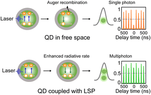 Graphical abstract: Multiphoton emission of single CdZnSe/ZnS quantum dots coupled with plasmonic Au nanoparticles