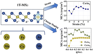 Graphical abstract: Intrinsic ferromagnetism in two-dimensional 1T-MX2 monolayers with tunable magnetocrystalline anisotropy