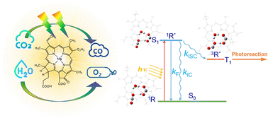 Graphical abstract: Role of excited-state hydrogen bonding in CO2 photoreduction catalyzed by sodium magnesium chlorophyll