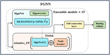 Graphical abstract: Ligand binding affinity prediction with fusion of graph neural networks and 3D structure-based complex graph