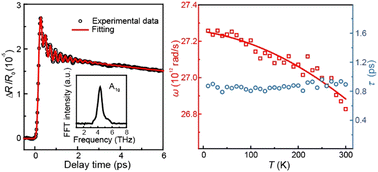 Graphical abstract: Resonance-enhanced excitation and relaxation dynamics of coherent phonons in Fe1.14Te