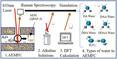 Graphical abstract: Various states of water species in an anion exchange membrane characterized by Raman spectroscopy under controlled temperature and humidity