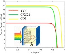 Graphical abstract: Study of the microscopic mechanism of stepwise charge injection in co-sensitive DSSCs in the framework of a D–π–A dye and chlorophyll