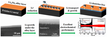 Graphical abstract: Spatially isolating Li+ reduction from Li deposition via a Li22Sn5 alloy protective layer for advanced Li metal anodes