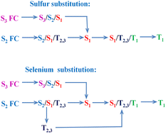 Graphical abstract: The impact of the chalcogen-substitution element and initial spectroscopic state on excited-state relaxation pathways in nucleobase photosensitizers: a combination of static and dynamic studies