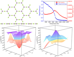 Graphical abstract: Prediction of a two-dimensional high Curie temperature Weyl nodal line kagome semimetal