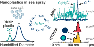 Graphical abstract: Morphology and hygroscopicity of nanoplastics in sea spray