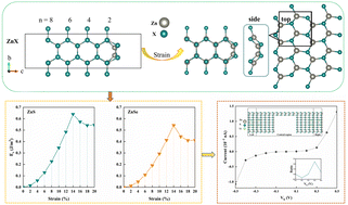 Graphical abstract: Exfoliable and self-healable two-dimensional materials from wurtzite zinc chalcogenides as building blocks of nanodevices