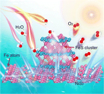Graphical abstract: Insight into the Fe atom–FeS cluster synergistic catalysis mechanism for the oxygen evolution reaction in NiS2-based electrocatalysts
