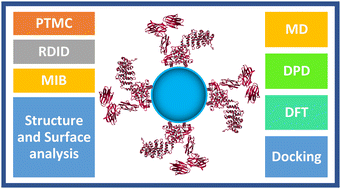 Graphical abstract: In silico approaches to investigate enzyme immobilization: a comprehensive systematic review