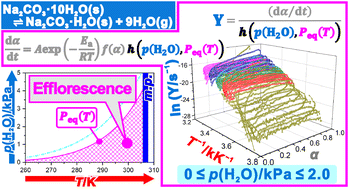 Graphical abstract: Efflorescence kinetics of sodium carbonate decahydrate: a universal description as a function of temperature, degree of reaction, and water vapor pressure