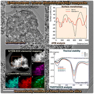 Graphical abstract: Nanostructure and thermal characteristics of silica/human serum albumin systems based on a modified nanosilica entero-vulnerosorbent