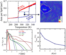 Graphical abstract: Anomalous lateral diffusion of lipids during the fluid/gel phase transition of a lipid membrane