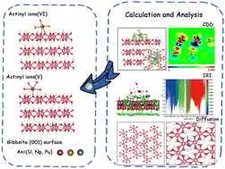 Graphical abstract: Adsorption and diffusion of actinyls on the basal gibbsite (001) surface: a theoretical perspective