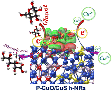 Graphical abstract: P-incorporated CuO/Cu2S heteronanorods as efficient electrocatalysts for the glucose oxidation reaction toward highly sensitive and selective glucose sensing