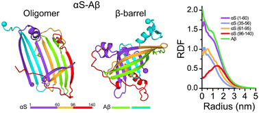 Graphical abstract: Co-aggregation of α-synuclein with amyloid-β stabilizes β-sheet-rich oligomers and enhances the formation of β-barrels