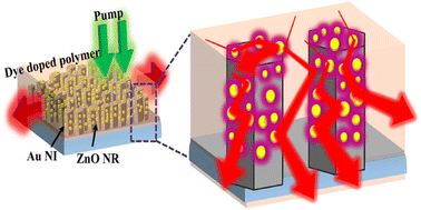 Graphical abstract: Synergy between plasmonic nanocavities and random lasing modes: a tool to dequench plasmon quenched fluorophore emission