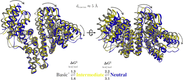 Graphical abstract: Structural and thermodynamic characterization of allosteric transitions in human serum albumin with metadynamics simulations