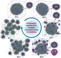 Graphical abstract: A dissipative particle dynamics simulation of controlled loading and responsive release of theranostic agents from reversible crosslinked triblock copolymer vesicles