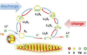 Graphical abstract: Theoretical study of highly efficient VS2-based single-atom catalysts for lithium–sulfur batteries