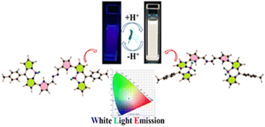 Graphical abstract: A white light emitting single halochromic hydrazine bridged bis(3-pyrrolyl BODIPY) fluorophore