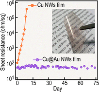 Graphical abstract: Direct coating of gold nanolayers to enhance the oxidation resistance of copper nanowire flexible transparent conductive films