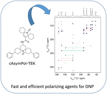 Graphical abstract: AsymPol-TEKs as efficient polarizing agents for MAS-DNP in glass matrices of non-aqueous solvents