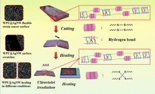 Graphical abstract: Multifunctional aqueous polyurethanes with high strength and self-healing efficiency based on silver nanowires for flexible strain sensors