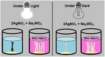 Graphical abstract: Light-modulated colour transformation in highly intertwined vertically growing silver tungstate tubes