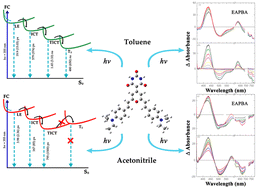 Graphical abstract: Ultrafast excited state relaxation dynamics of pyran-based D–π–A systems: solvent polarity controls the triplet state